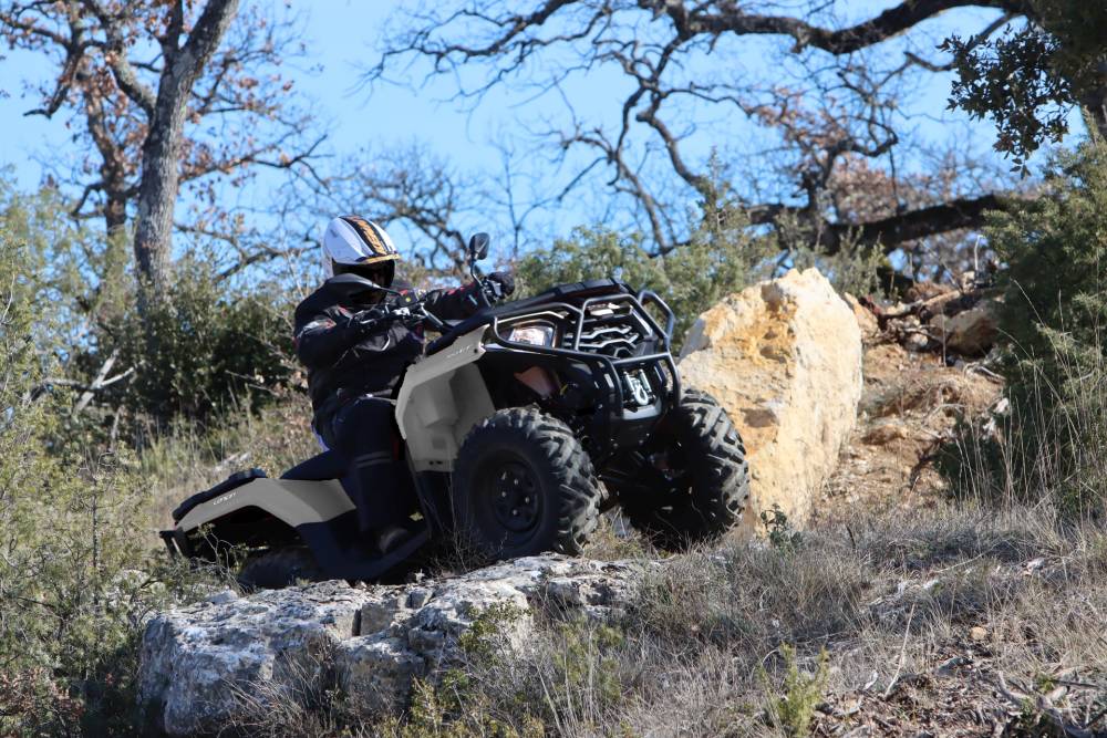XWOLF300 ACTION (13)